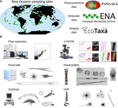 Coupling Imaging and Omics in Plankton Surveys: State-of-the-Art, Challenges, and Future Directions